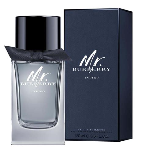 mr burberry cologne eau de toilette|mr burberry cologne for men.